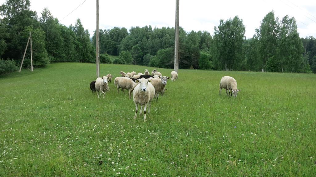 Maee Farm Villa Rouge Bagian luar foto